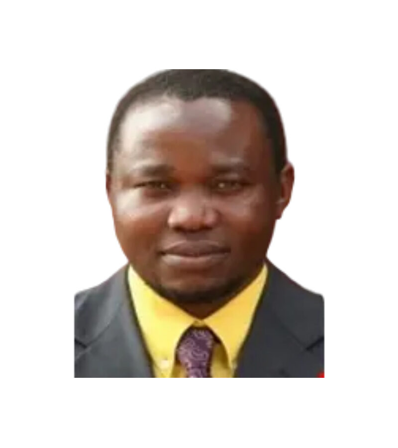 Professor Manisuli Ssenyonjo